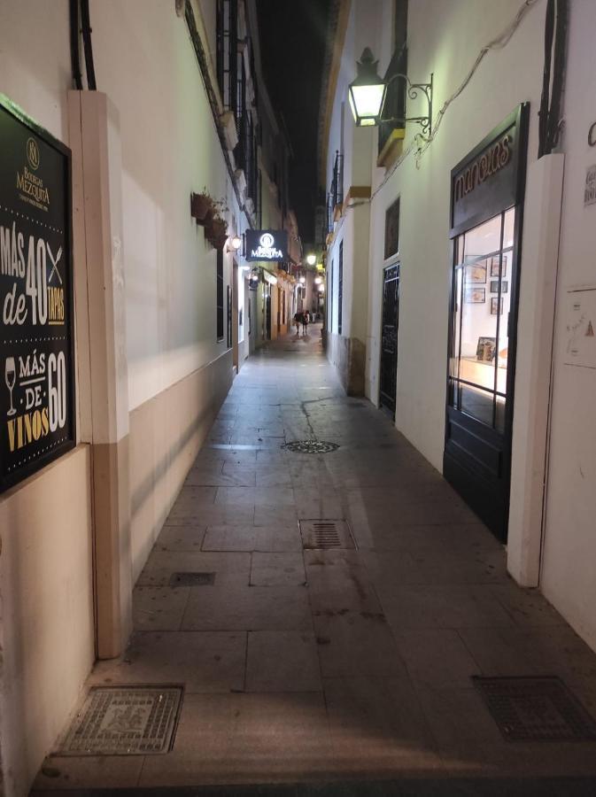 Al-Andalus Agradable Casa Para Relajarse Y Descubrir Cordoba Apartment Luaran gambar